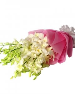 Purity